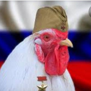 РОССИЯ ГОЛОВНОГО МОЗГА