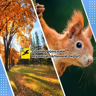 ГРАЙВОРОНСКИЙ ГОРОДСКОЙ ОКРУГ