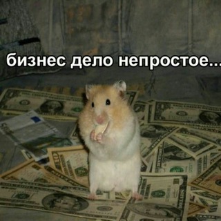 ХОМЯК НА WALL STREET|ИНВЕСТИЦИИ