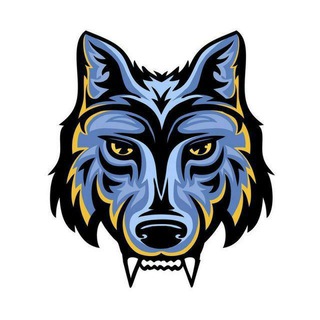 WOLFBET SPORT