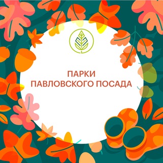 ГОРОДСКОЙ ПАРК ПАВЛОВСКИЙ ПОСАД