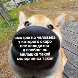 МЕМЫСКРЕПЫ 2