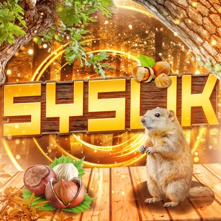 SYSLIK X TWITCH