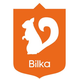 BELKA SPACE