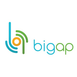 ВIGAP PRICE