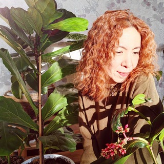GUMIDOK_JUNGLE