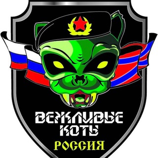 НЕ ЗЛИТЕ КОТИКОВ