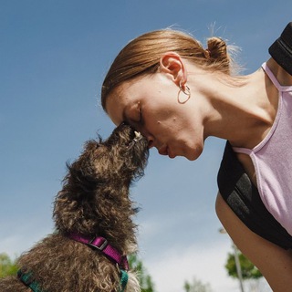 DOG SCHOOL MARIE