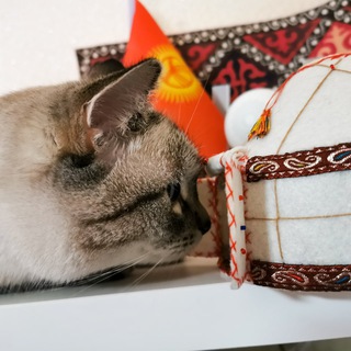 ДНЕВНИК КОЧЕВНИКА