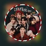STRAY KIDS | 스트레이 키즈