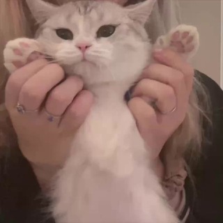 ТРАНЖИЦУКО