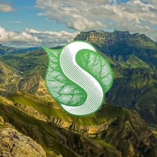SYNERGETIC_05