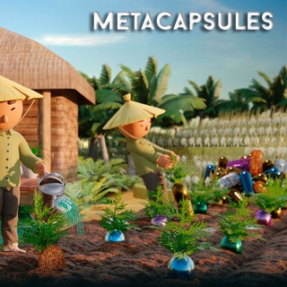 METACAPSULES