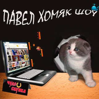 ПАВЕЛ ХОМЯК ШОУ