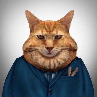 AUCTION FATCAT’S