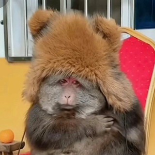 ДЬЯВОЛ НОСИТ СЕКСИ ТРУСИКИ