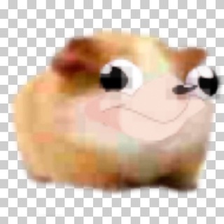 VLADTER