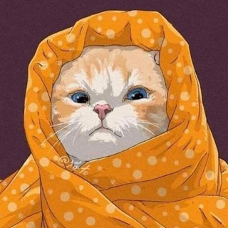ФЕМКОШКА 