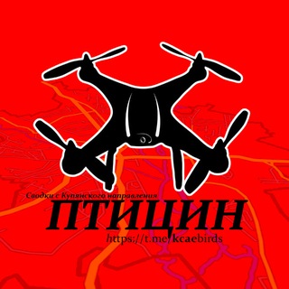 ПТИЧКА  KCAE