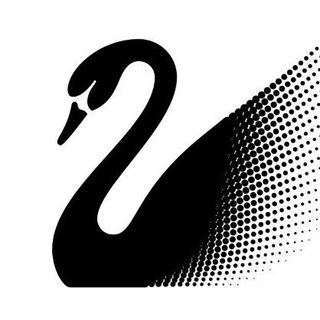 D-NEWS