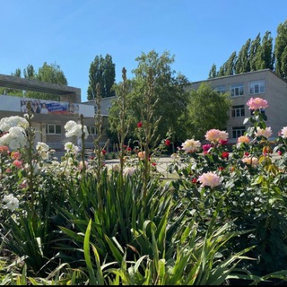 GYMNAZIUM_8TIH