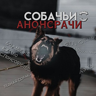 СОБАЧЬИ АНОНСРАЧИ