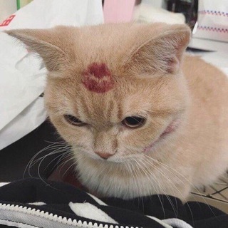 БЕЗ РУККОЛА БЫ
