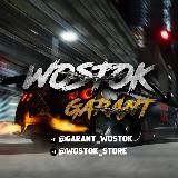WOSTOK | STORE