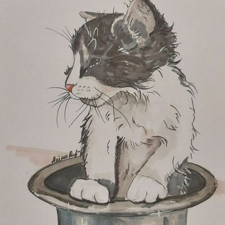40CATSFM