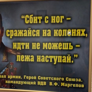 CHANSIBATTERFLAYKARTEL