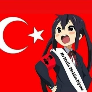 OKTAVIUS ПОМОЖЕТ С ТУРЕЦКИМ PSN, STEAM И НЕ ТОЛЬКО