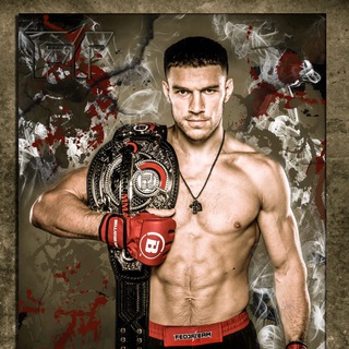 VADIM NEMKOV MMA