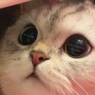 ДИМУШВИЛИ