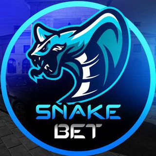 SNAKE BET ФОТО ОТЧЕТЫ С БК