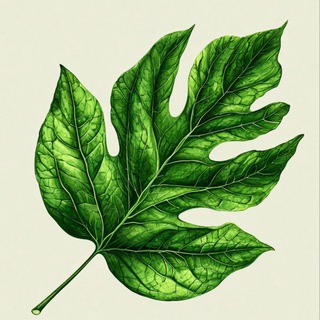 HEALTH & BEAUTY