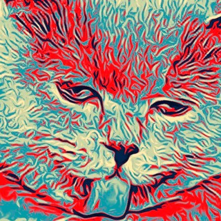 КОТИЦЫД