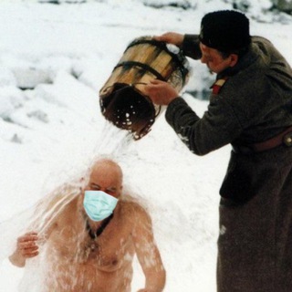 СИБИРСКИЙ ЦИРЮЛЬНИК