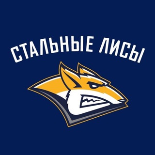 МХК «СТАЛЬНЫЕ ЛИСЫ»