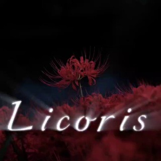 L I C O R I S || 甘草