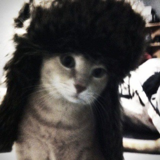 MMMMMMMMMMMMMMMMMMMMMMMMMMMMM