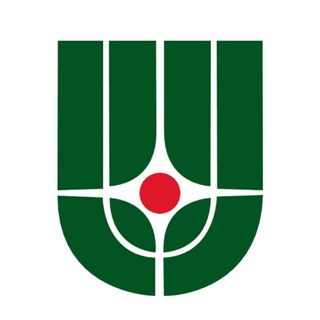 КУРЧАТОВСКИЙ