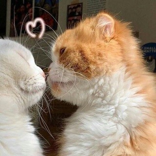 VÍNERALEY | ТЕМКИ И ЯЗЫКИ