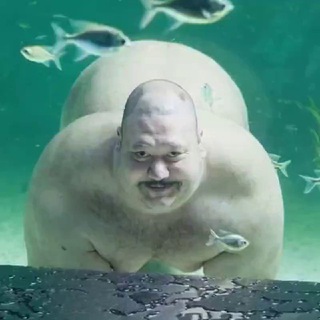 ТЧГ 