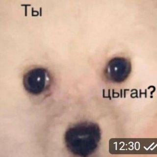 СМЕШНЫЕ СТИКЕРЫ БЕСПЛАТНО
