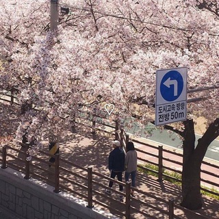 KOREA/SEOUL