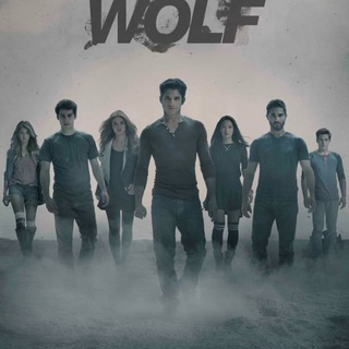 ВОЛЧОНОК 1-6 СЕЗОН