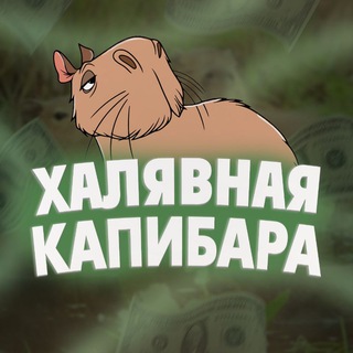 ХᴀᴧЯʙНᴀЯ ᴋᴀᴨИБᴀᴩᴀ