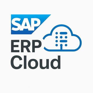 SAP S4 HERO