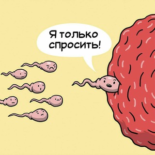 МНЕ ТОЛЬКО СПРОСИТЬ