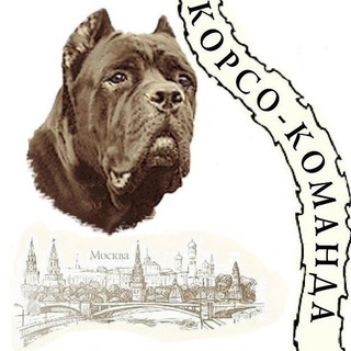 CORSO_COMANDA